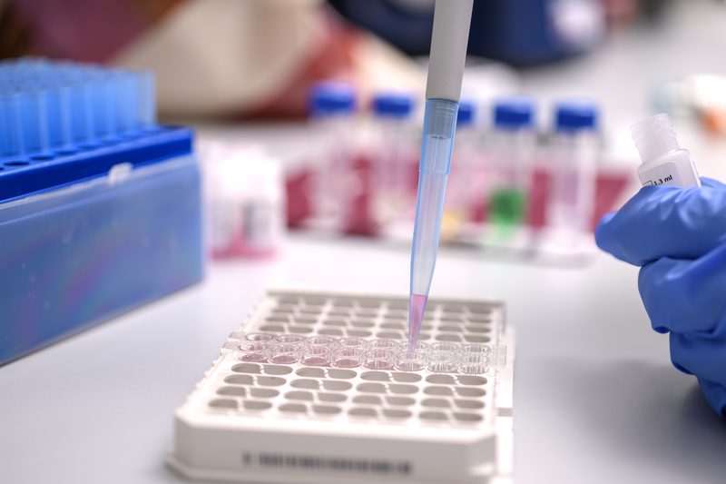 Laboratorio de calidad Doscadesa